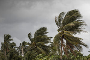 Hurricane Preparedness
