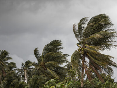 Hurricane Preparedness
