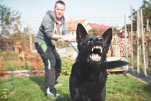 Dog Bite Treatment